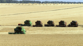 Минсельхоз РФ подтвердил прогноз по урожаю и экспорту зерна